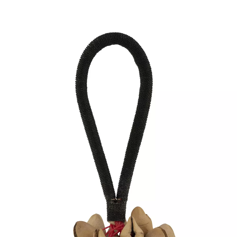 Pearl Kenari 霹靂果手搖鈴 Kenari Nut Shaker