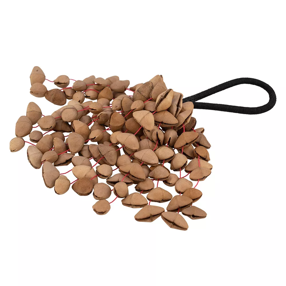 Pearl Kenari 霹靂果手搖鈴 Kenari Nut Shaker